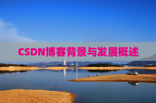 CSDN博客背景与发展概述