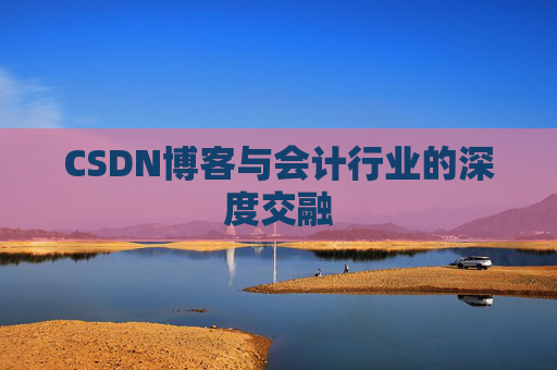 CSDN博客与会计行业的深度交融